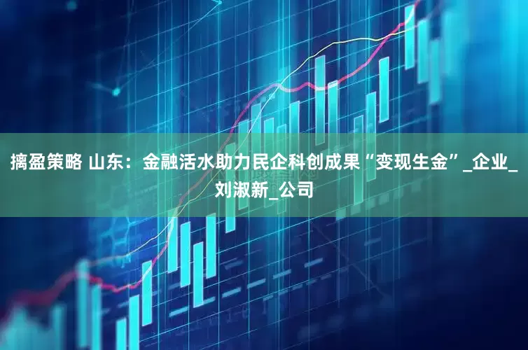 摛盈策略 山东：金融活水助力民企科创成果“变现生金”_企业_刘淑新_公司
