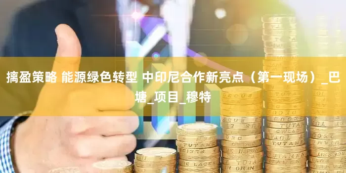 摛盈策略 能源绿色转型 中印尼合作新亮点（第一现场）_巴塘_项目_穆特
