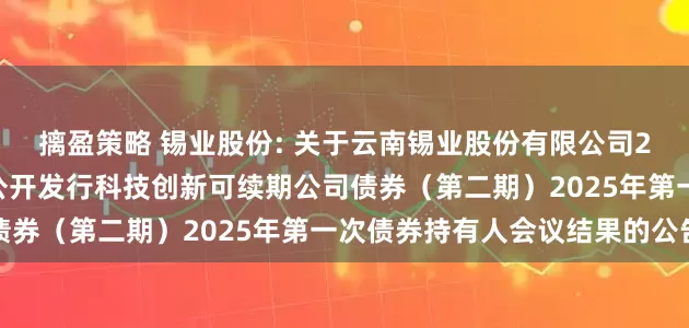 摛盈策略 锡业股份: 关于云南锡业股份有限公司2024年面向专业投资者公开发行科技创新可续期公司债券(第二期)2025年第一次债券持有人会议结果的公告
