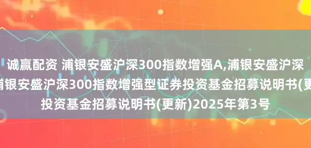 诚赢配资 浦银安盛沪深300指数增强A,浦银安盛沪深300指数增强C: 浦银安盛沪深300指数增强型证券投资基金招募说明书(更新)2025年第3号