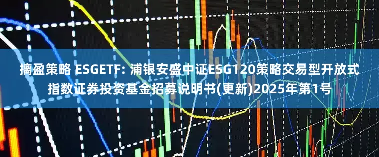摛盈策略 ESGETF: 浦银安盛中证ESG120策略交易型开放式指数证券投资基金招募说明书(更新)2025年第1号